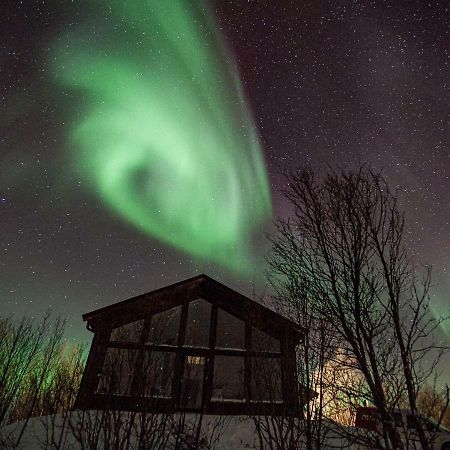 Aurora View Cabin 灵塞德 外观 照片