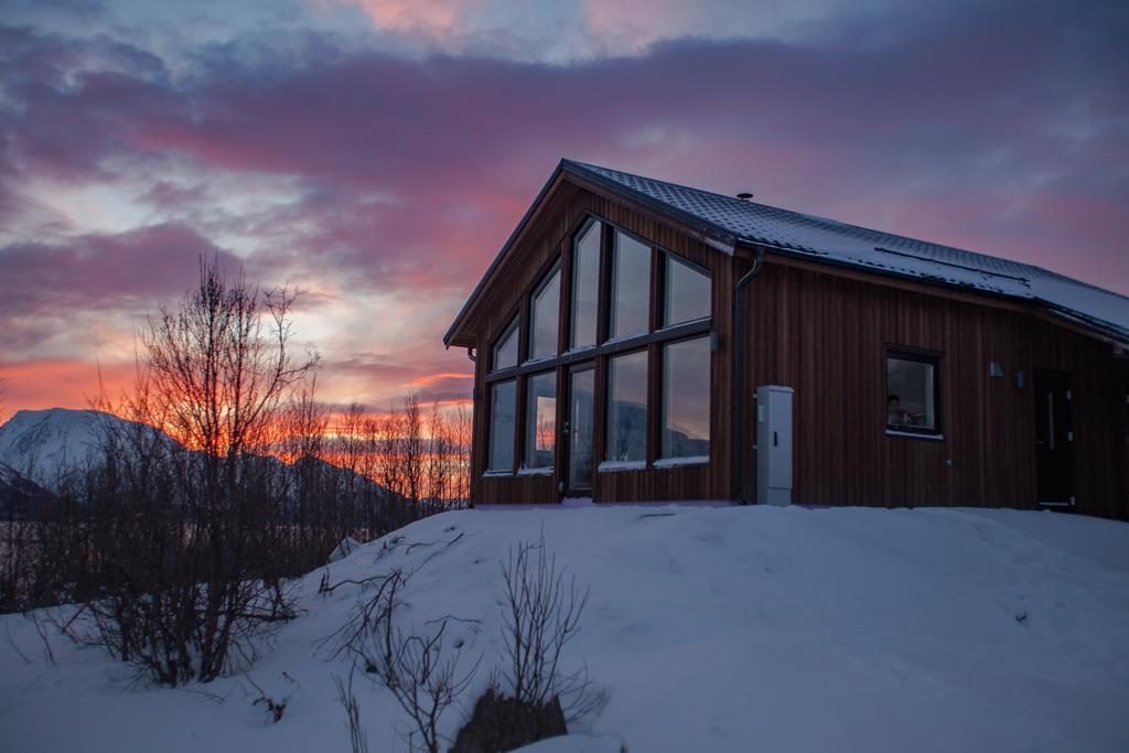 Aurora View Cabin 灵塞德 外观 照片