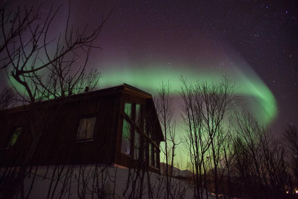 Aurora View Cabin 灵塞德 外观 照片