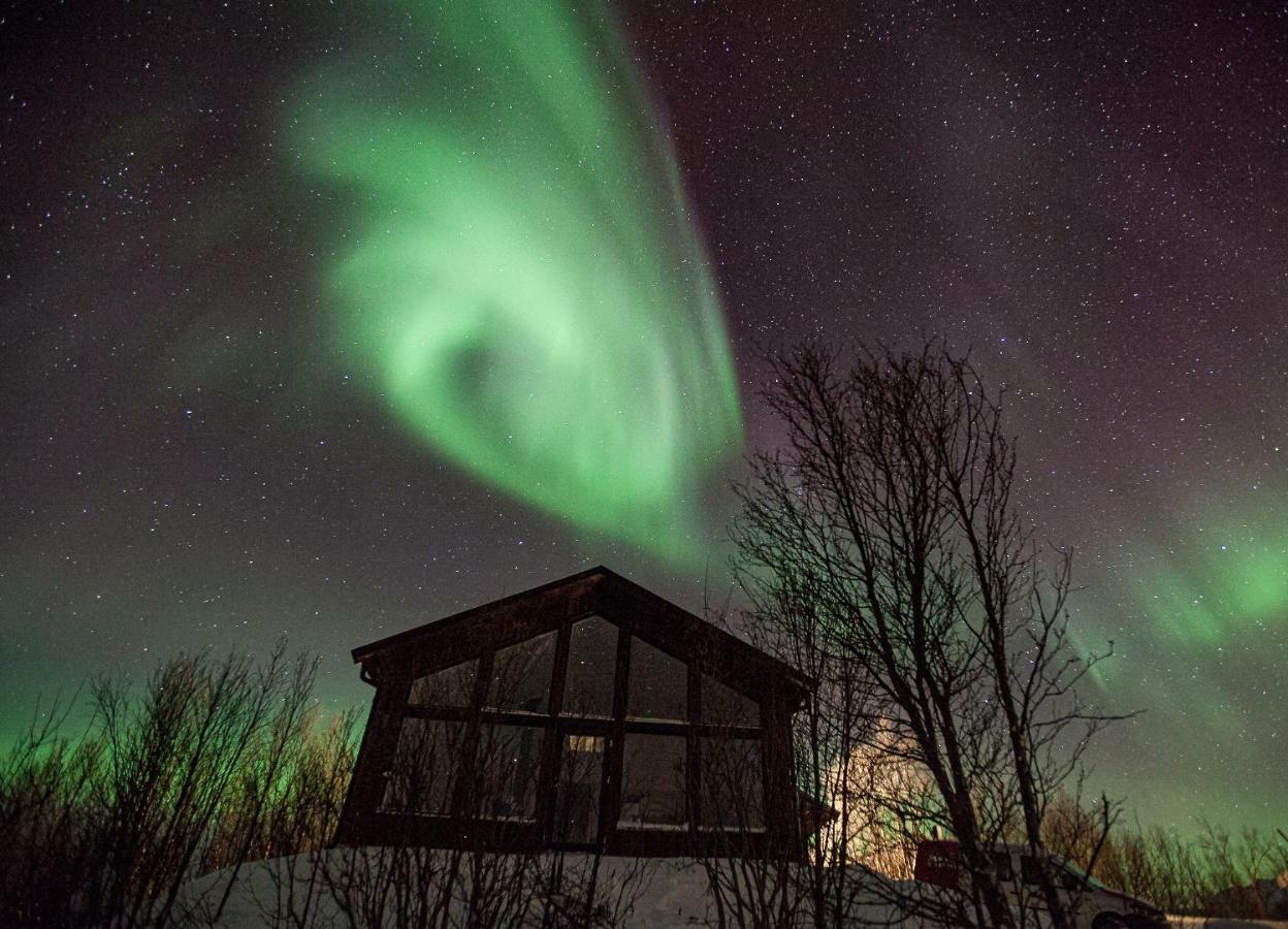 Aurora View Cabin 灵塞德 外观 照片
