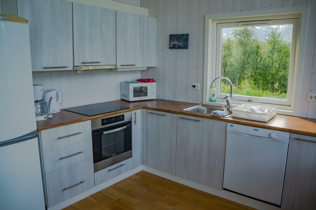 Aurora View Cabin 灵塞德 外观 照片
