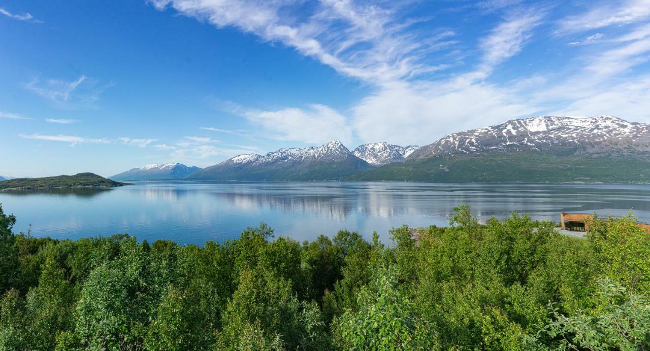 Aurora View Cabin 灵塞德 外观 照片