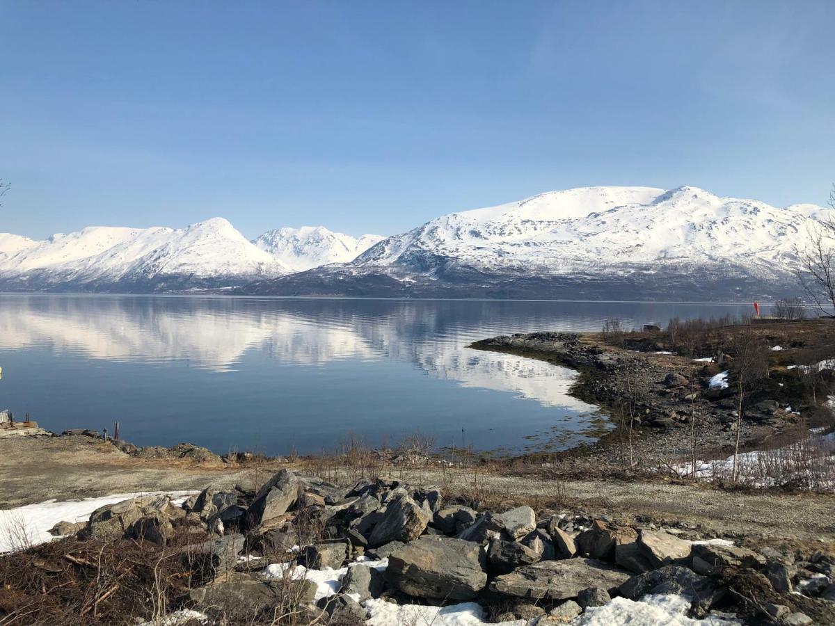 Aurora View Cabin 灵塞德 外观 照片
